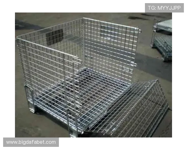 选择ag尊龙官网的理由，安全稳定的游戏平台让玩家安心畅玩