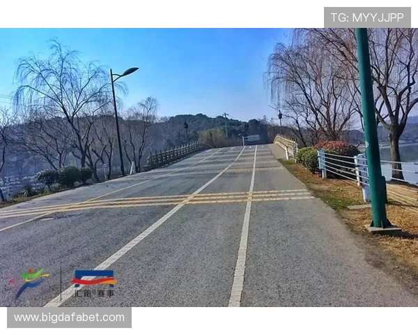 世界杯瑞士VS加拿大比赛亮点与专家赛前分析助你全面了解比赛动态